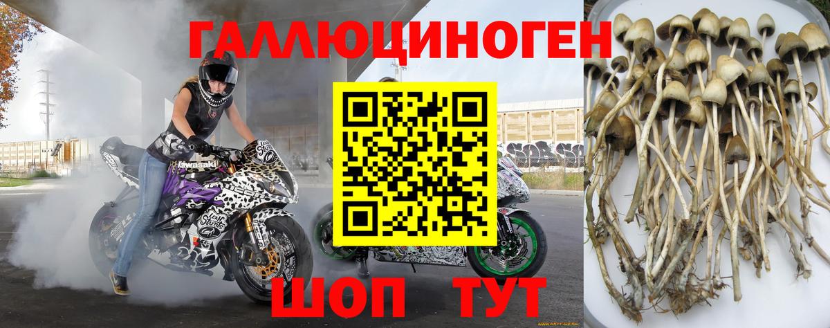 Галлюциногенные грибы Magic Shrooms  Вход с VPN  Галлюциногенные грибы мицелий  Азов 